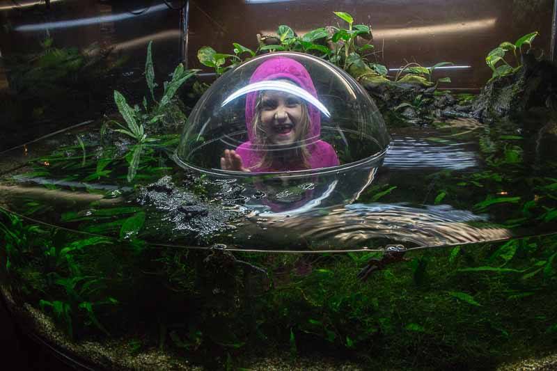 Vancouver Aquarium kids fun