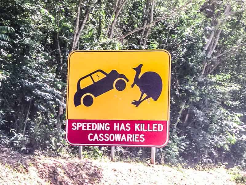 cassowary sign in Australia