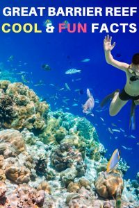 Cool and fun facts about the Great Barrier Reef in Australia boy snorkeling photo