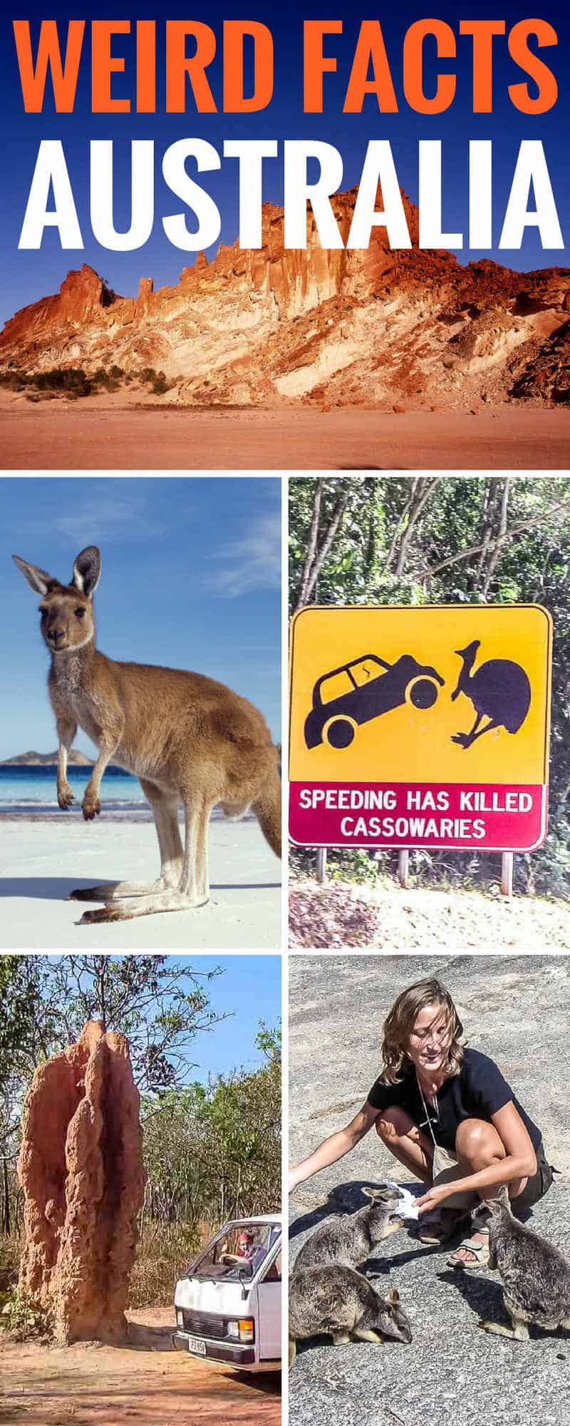 Weird Australia Facts. There's no getting around the fact that Australia is a weird, but wonderful place. From termite mounds as big as a building, to animals that defy description, we tell you all that's weird and cool about Australia. Australia Facts | Australia Facts for Kids | Cool Australia Facts | Fun Australia Facts | Australia Travel #Australia #australianproblems #aussie #Australiakids