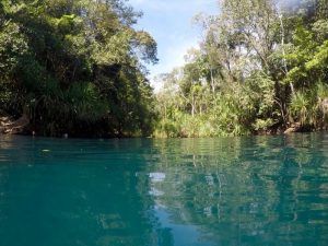 Beautiful Waters of Berry Springs