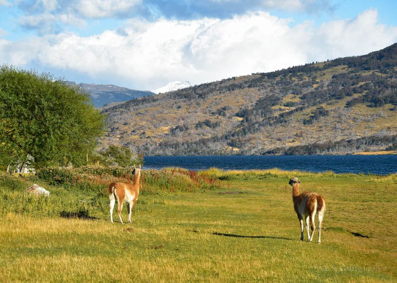 Hiking in Torres del Paine