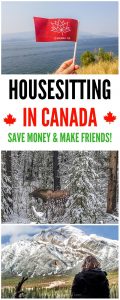 How to get a housesitting job in Canada. We share our best tips for how to get a great house sitting job!