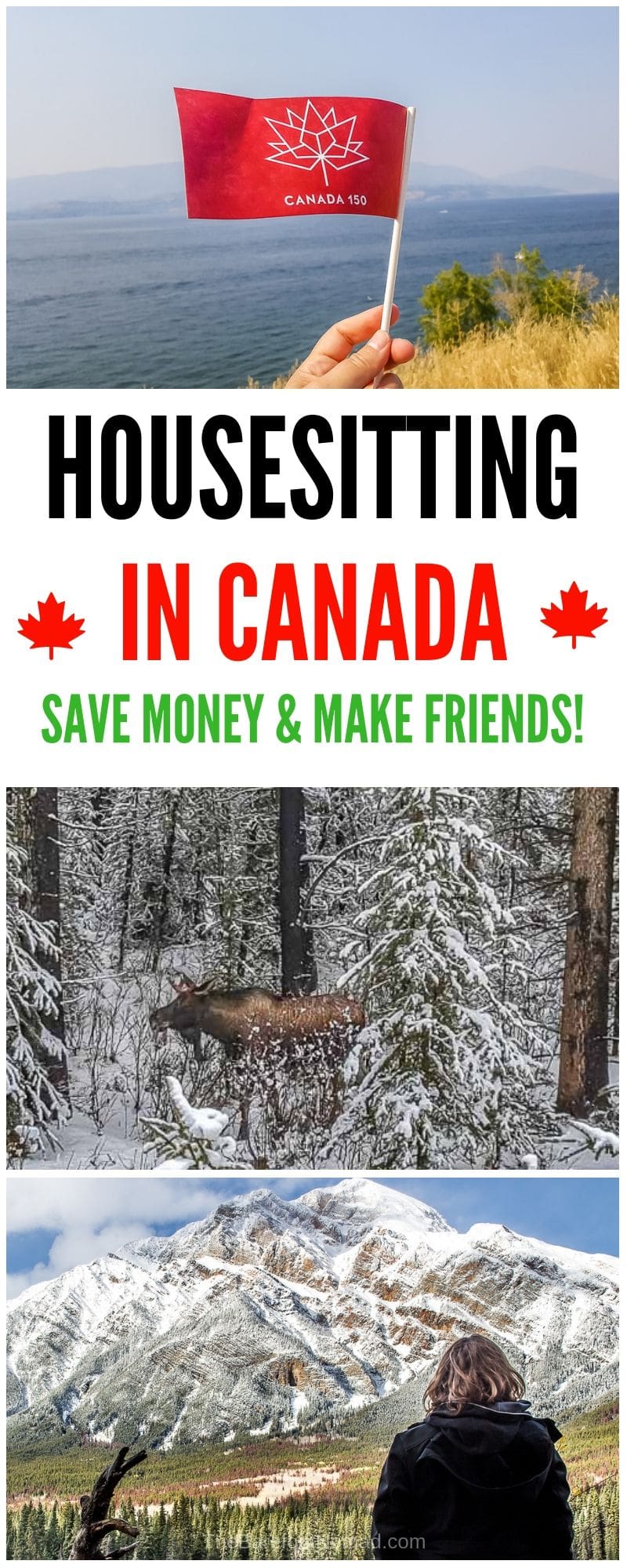 How to get a housesitting job in Canada. We share our best tips for how to get a great house sitting job!