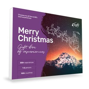 Tinggly gift of travel experiences box merry christmas