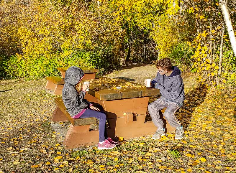 picnic table in the forest at the Adams River BC Canada