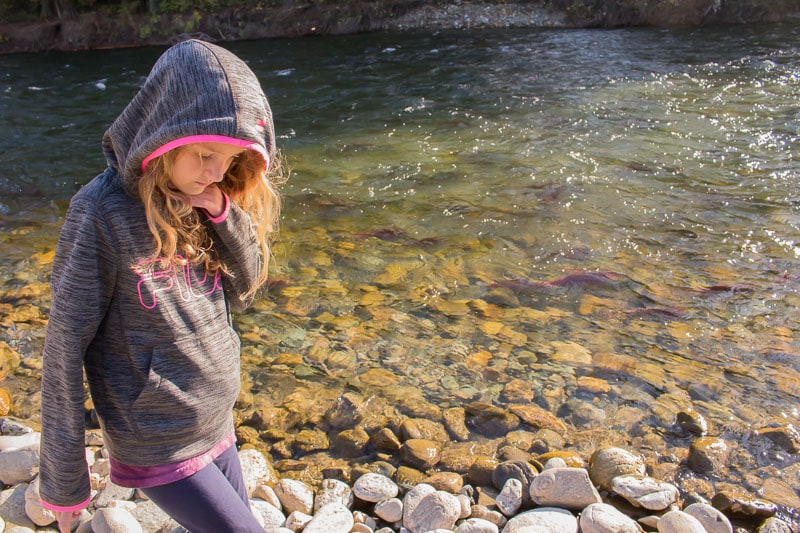 girl walking along Adams River British Columbia during the Sockeye salmon run 