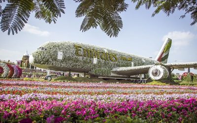 Miracle Garden Dubai