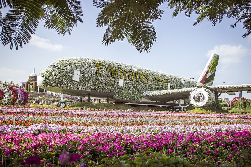 Miracle Garden Dubai