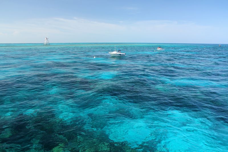 Molasses Reef Key Largo John Pennekamp Coral Reef State Park