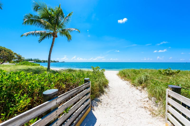 Sombrero Beach Palm Trees Florida Keys Marathon DP Best Beaches in the Florida Keys