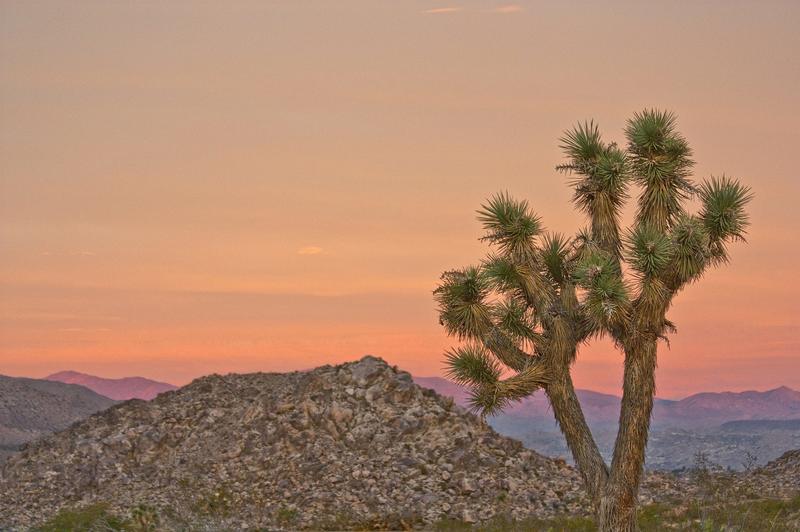 Sunset in Joshua Tree, a fantastic weekend getaway from LA California