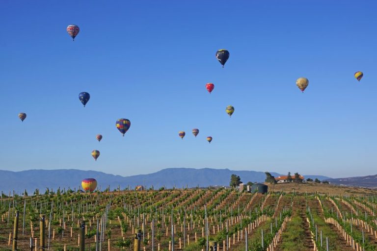 TemeculaBalloonandWineFestivalCaliforniaDP The Barefoot Nomad