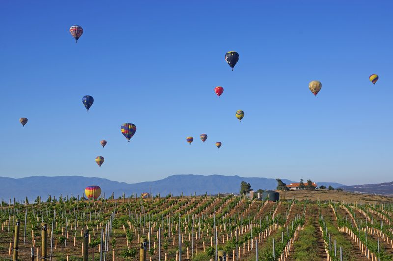 Temecula Valley California Balloon and Wine Festival on a weekend trip from Los Angeles