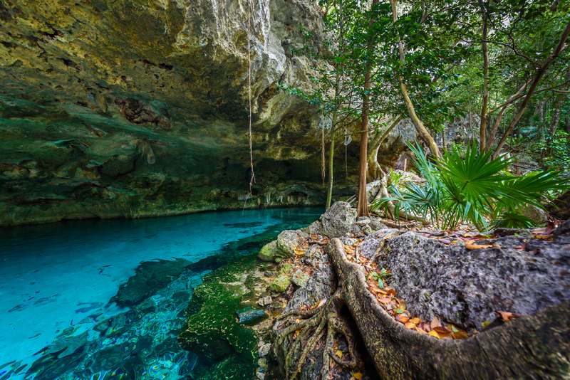 Cenote Dos Oyos with vines