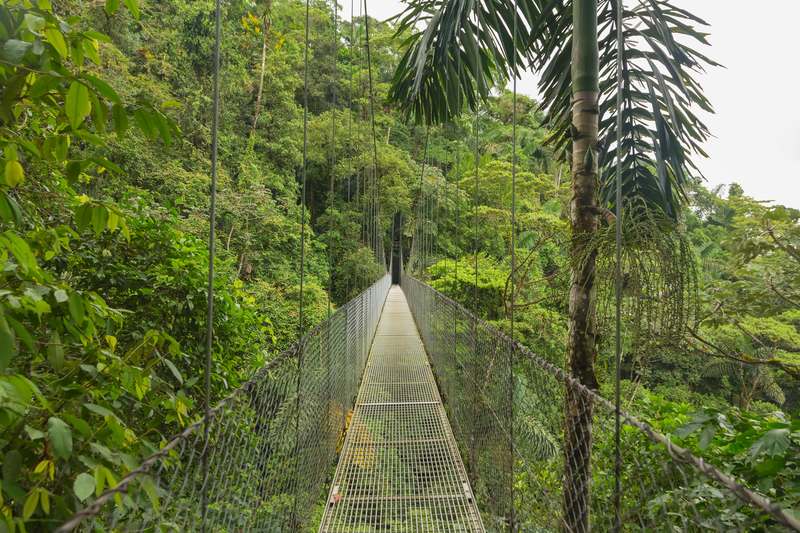 Monteverde Cloud Forest Biological Preserve hanging bridge in Costa Rica