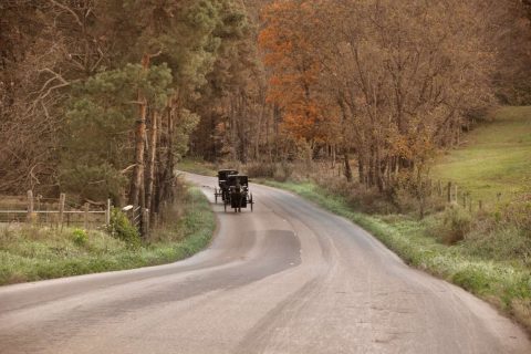 Best Day Trips in Ohio Amish Country Road Ohio