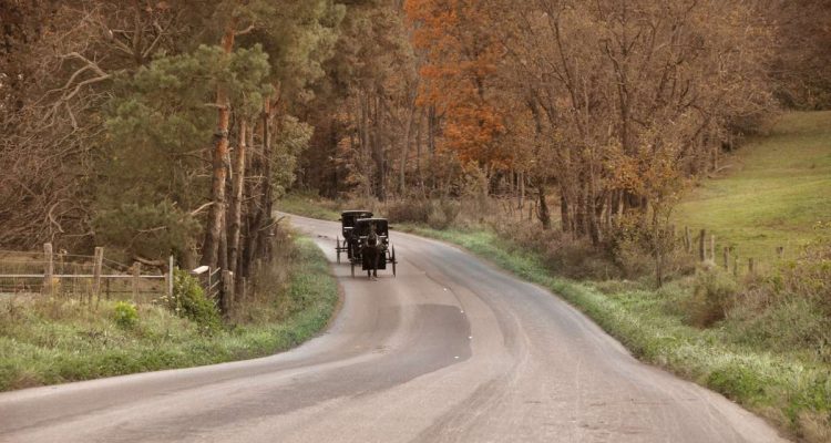 Best Day Trips in Ohio Amish Country Road Ohio