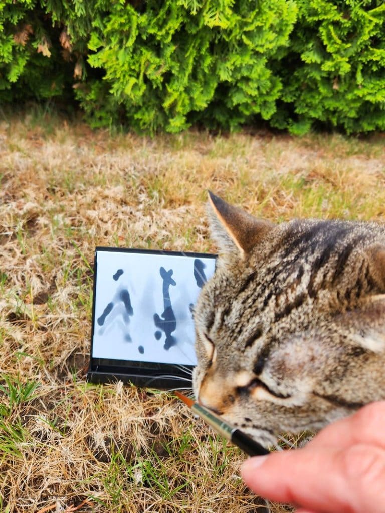 Buddha Board Mini with cat helper