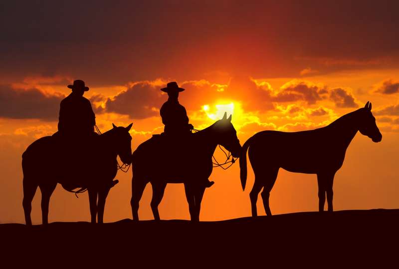 Cowboys et chevaux au coucher du soleil dans le Montana