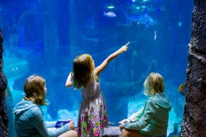 ICON Park Sealife Aquarium