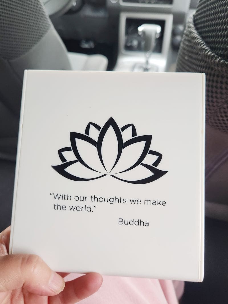 Mindfulness Edition Buddha Board Mini in the car