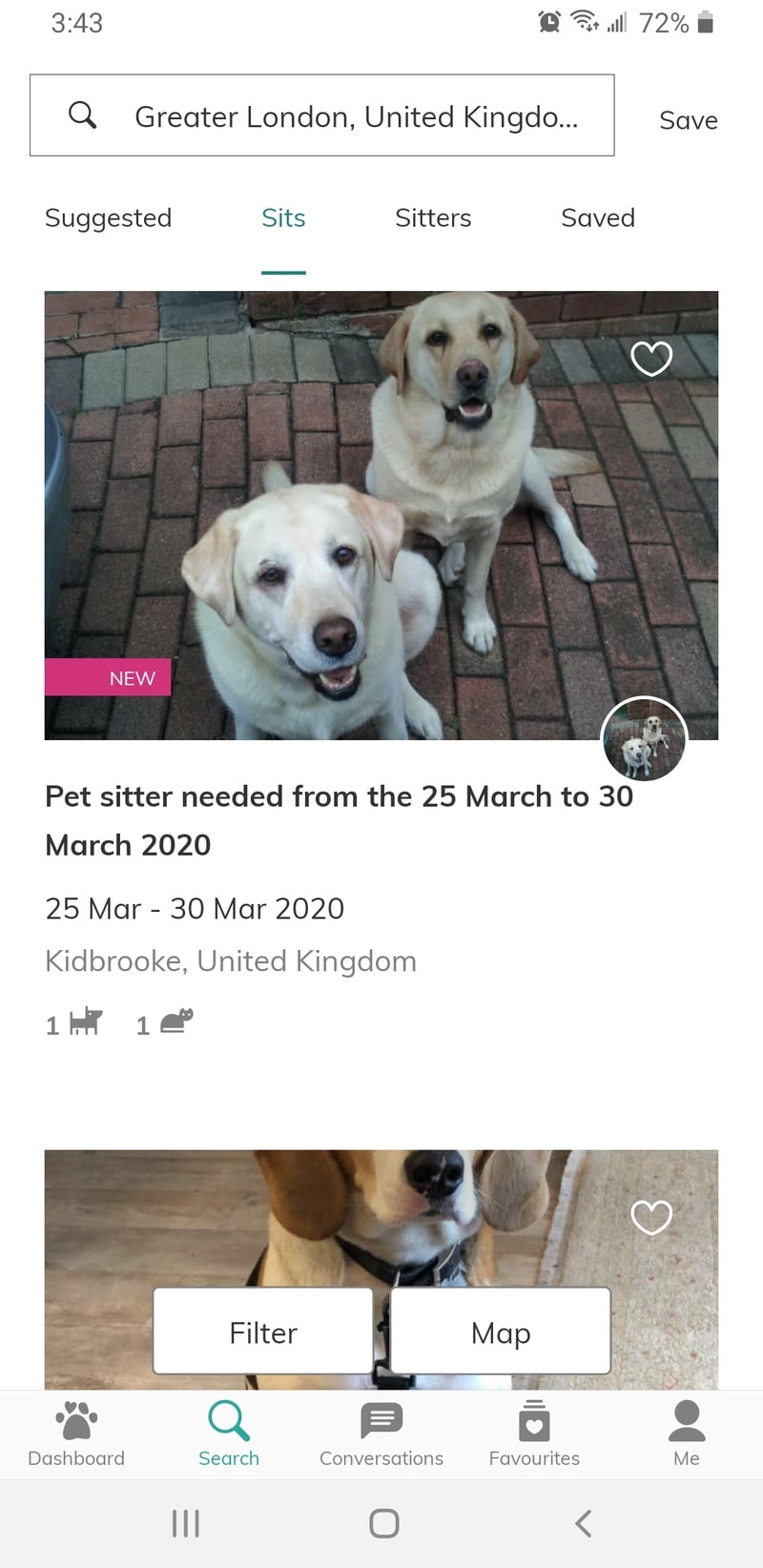 Trusted Housesitters London England sit with 2 cute dogs