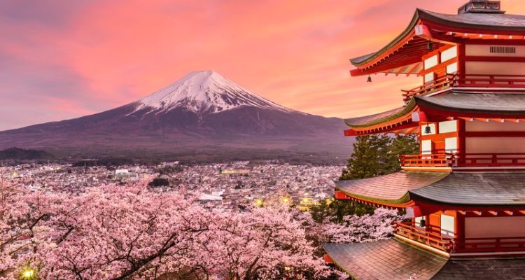 Mt. Fuji and Pagoda in Spring