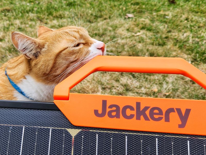 Cat approves of Jackery 80 W SolarSaga solar panel