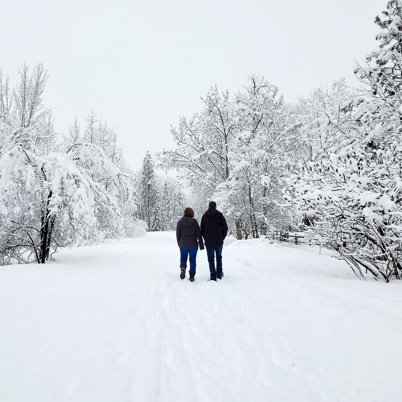 Walking Mission Creek Greenway in the snow in winter