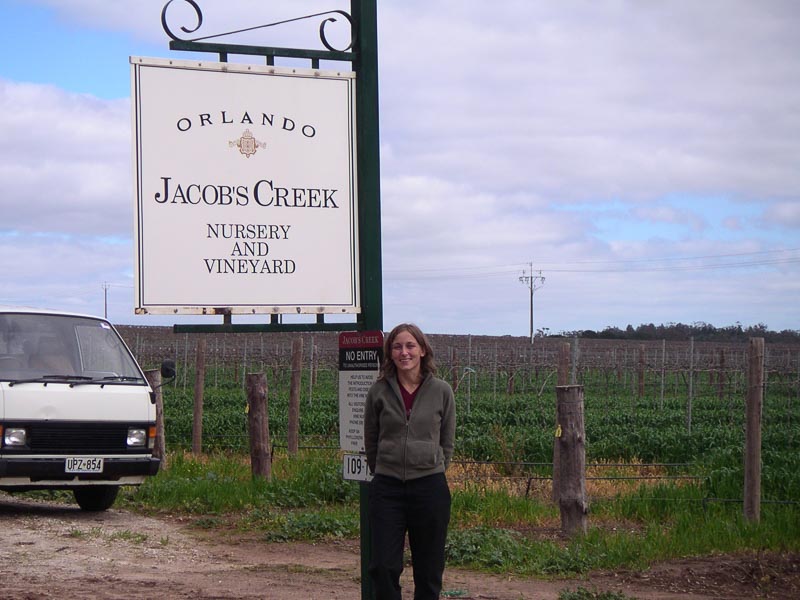 Jacobs Creek Winery Barossa Wine Region in Australia