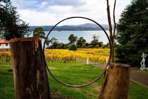 Winery Vineyard in Tamar Valley Tasmania Australia DP