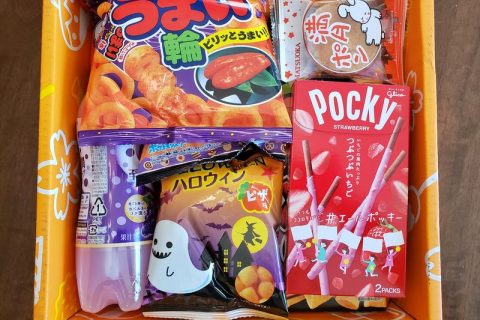 TokyoTreat Review of Japanese snack Subscription Box