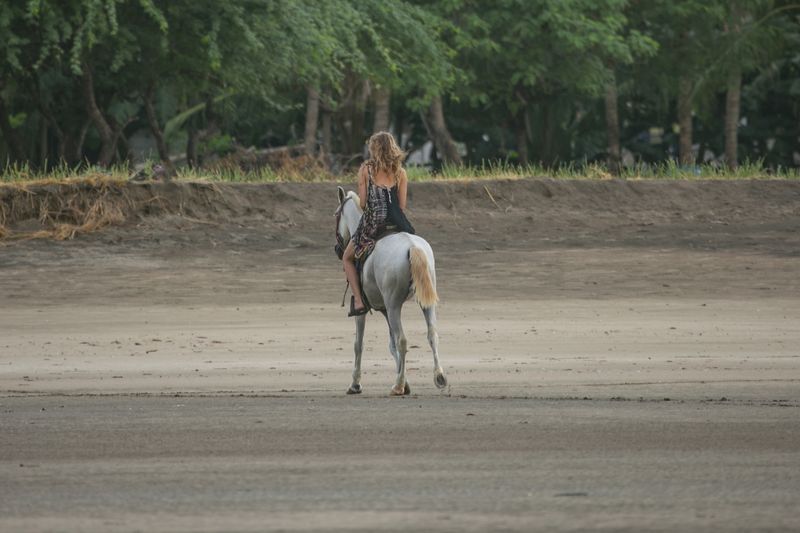 Horseback riding Tamarindo Costa Rica
