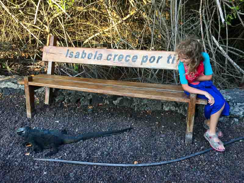 Pige fra Isabella Island på en bænk nær en marineleguan 
