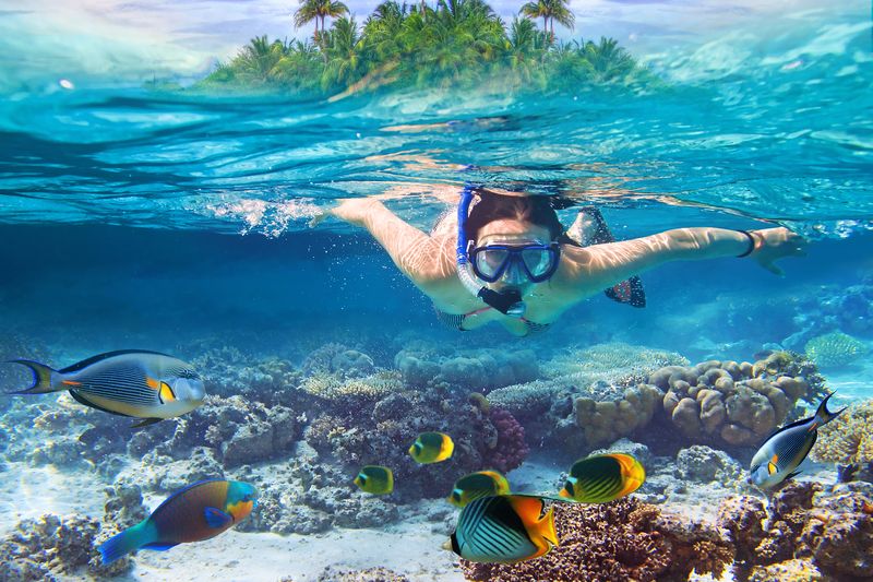 Snorkeling in the tropical water