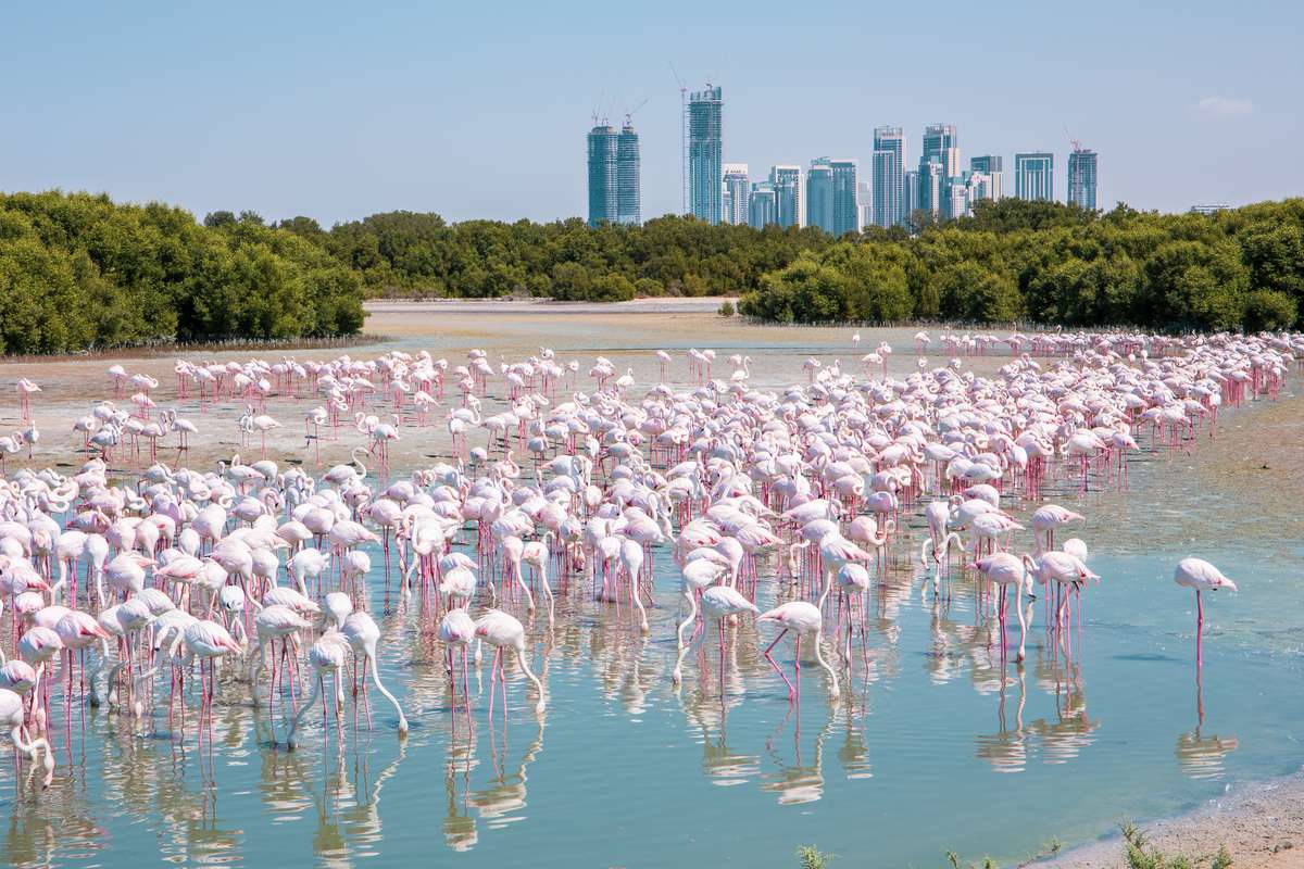 The Best Places to Visit in Dubai for Free The Best Places to Visit in Dubai for Free