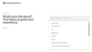 Squarespace guide what is your site about