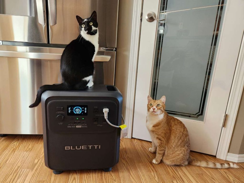BLUETTI Elite 400 by fridge with 2 cats