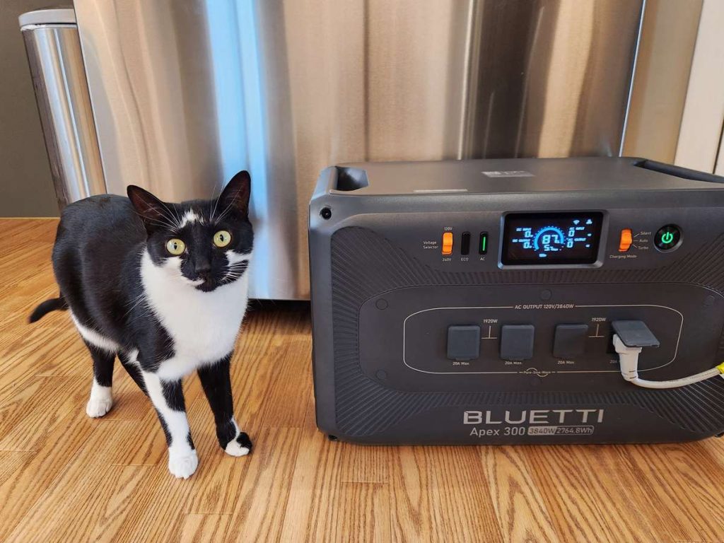 BLUETTI Apex 300 and cat in front of fridge