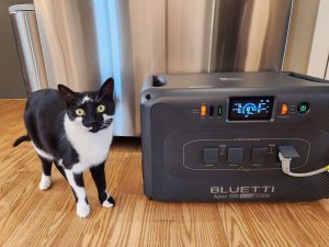 BLUETTI Apex 300 and cat in front of fridge